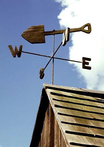 Glory of Gold, Old Barn Rustic Co.