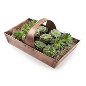 Large Pure Copper Trug Basket - Image 4