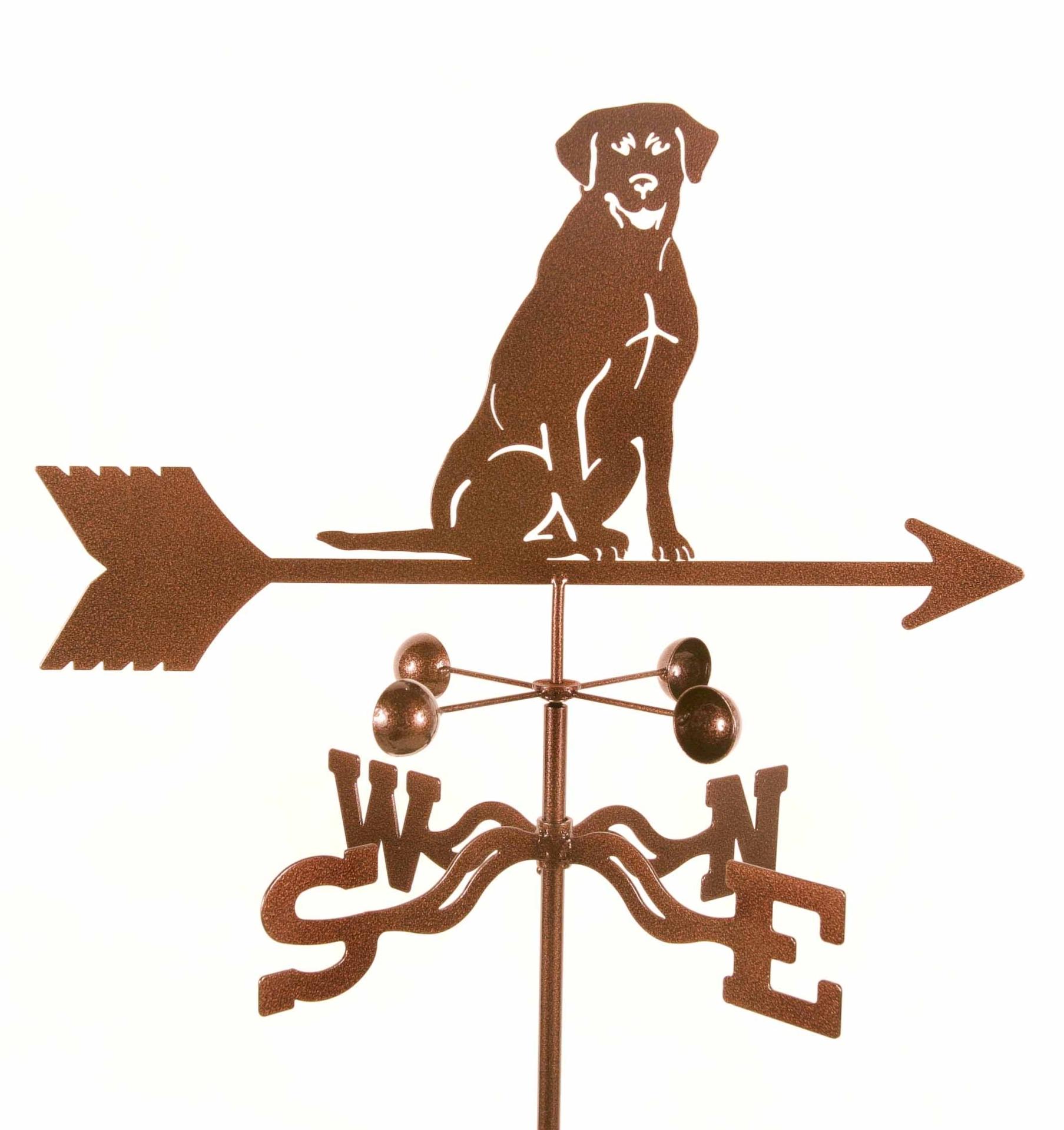 Lab Sitting