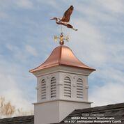 Blue Heron Weathervane - Pure Copper - Image 11