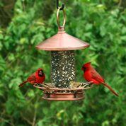 Classic Perch Bird Feeder - Copper Finish - Image 6